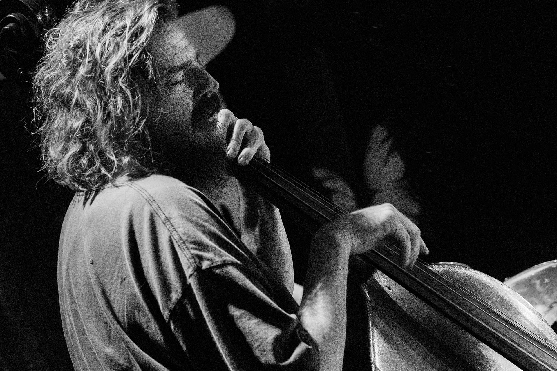 Martin Brunsden double bassist